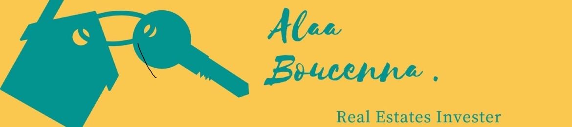 Alaa Boucenna's cover banner