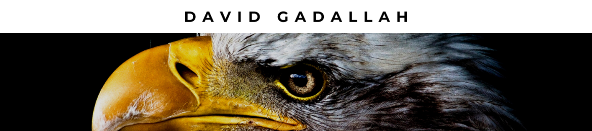 David Gadallah's cover banner