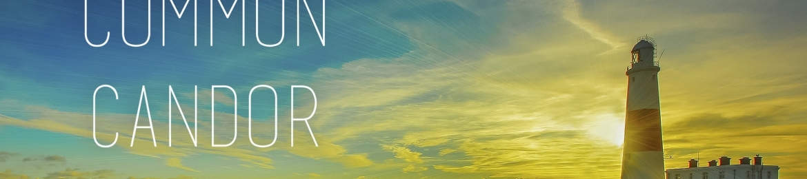 Quentin Irey's cover banner