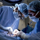 Dr. Lindsay Clark's picture Dr. Lindsay Clark's picture