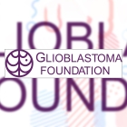 Glioblastoma Foundation's picture