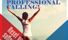 The Ultimate Workbook to Reset Your Career, End Job Suffering, and Thrive in Your Professional CallingThrive in your professional calling