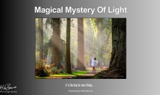 Magical Mystery Of Light