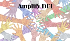 Amplify DEI - Level I