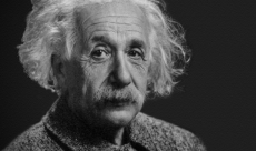 Einstein's Brain impacted Neuroplasticity